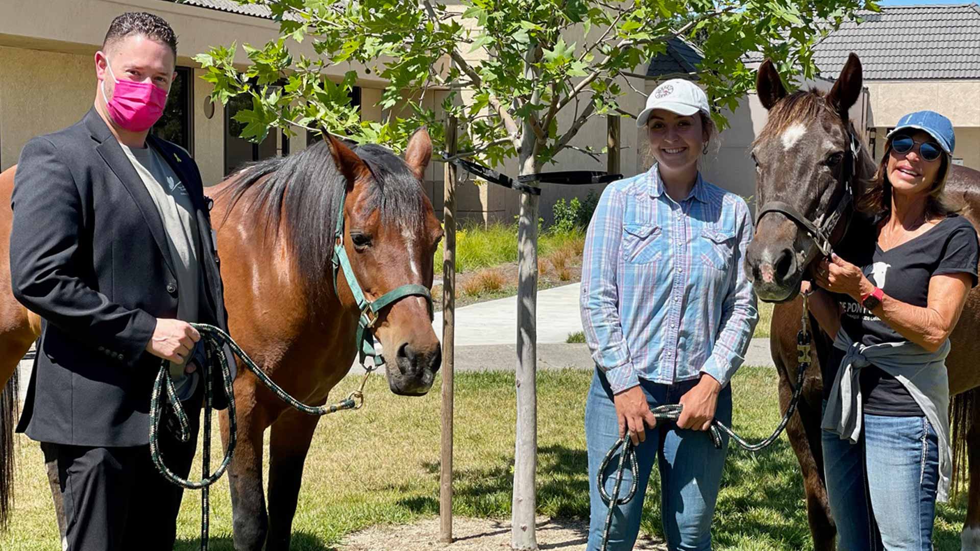 Equine-Therapy-Program-in-collaboration-with-The-Pony-Express-agency-of-Santa-Rosa---NCBHS