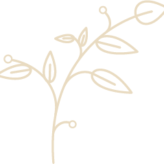 beige leaf detail - ncbhs Leaf Detail - NCBHS