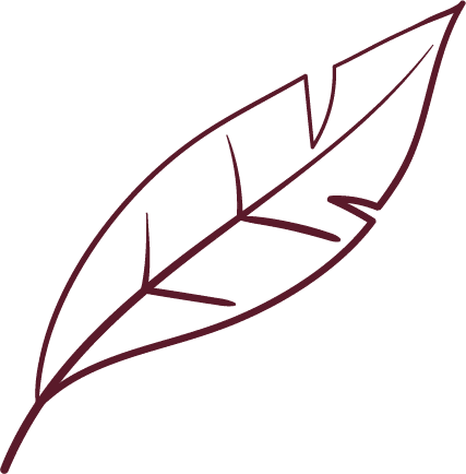 Leaf Detail - Resources NCBHS